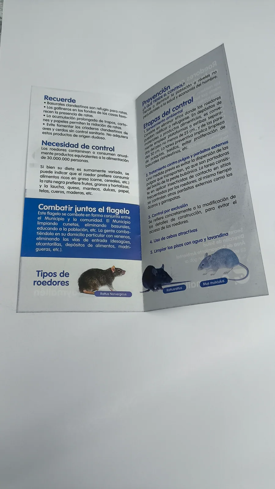 Brochures corporativos Multigraff